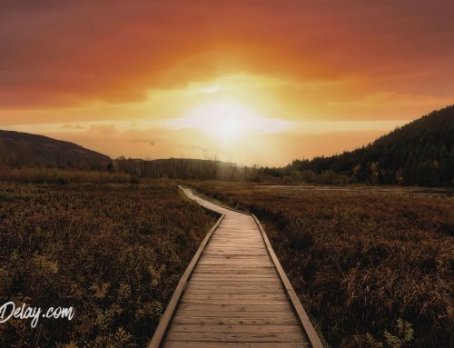 Charting Your Heart’s Path