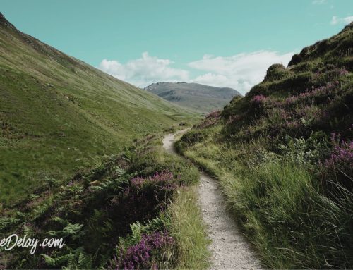 Find All the Good Trails